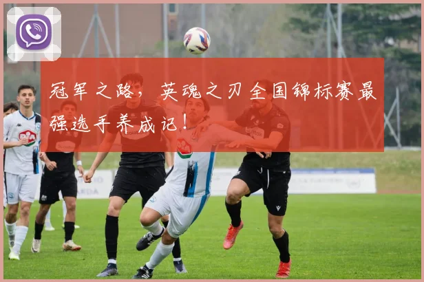 冠军之路，英魂之刃全国锦标赛最强选手养成记！
