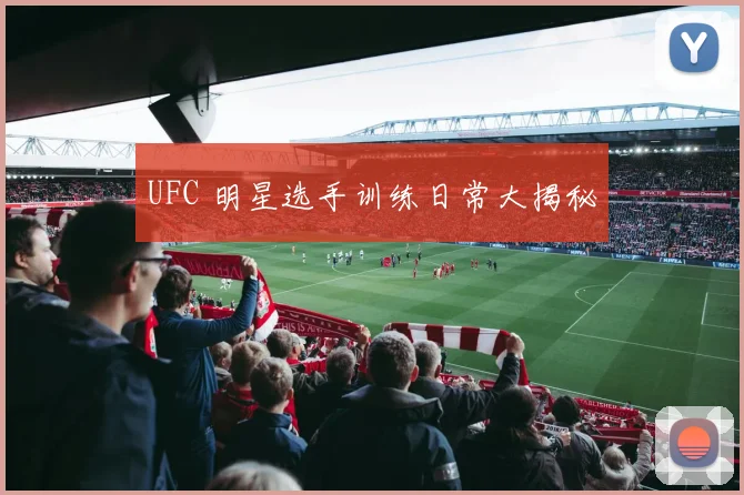 UFC 明星选手训练日常大揭秘