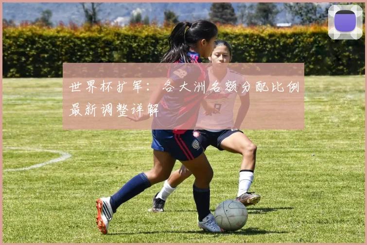 世界杯扩军：各大洲名额分配比例最新调整详解
