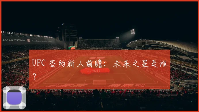 UFC 签约新人前瞻：未来之星是谁？